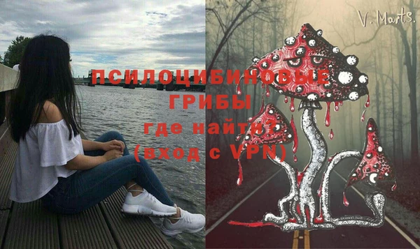 спайс Магадан